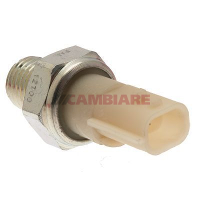 Cambiare Oil Pressure Switch VE706090 [PM123284]