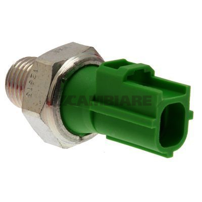 Cambiare Oil Pressure Switch VE706051 [PM123276]