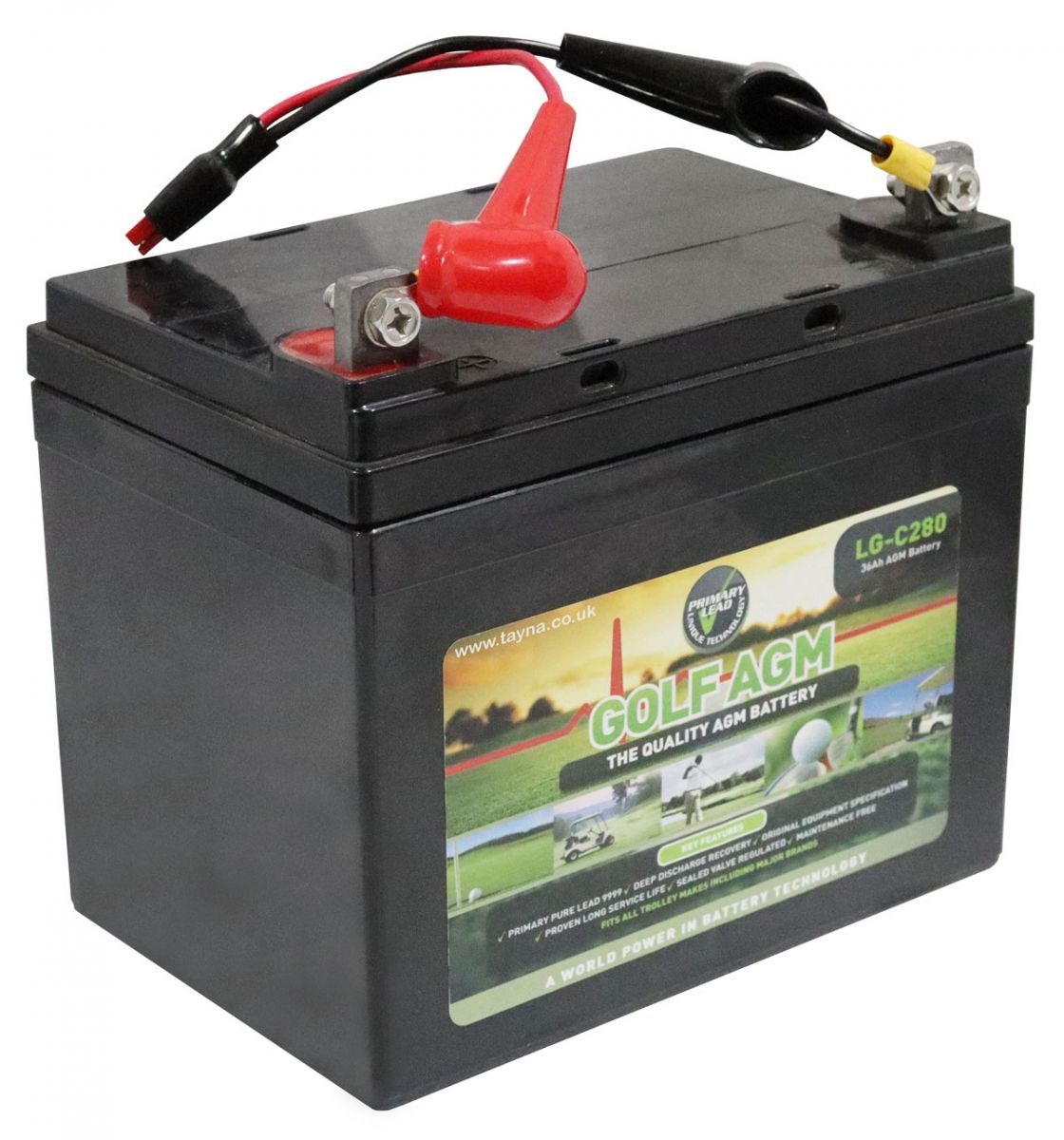 Leoch LG-C280 Tor AGM Golf Cart Battery