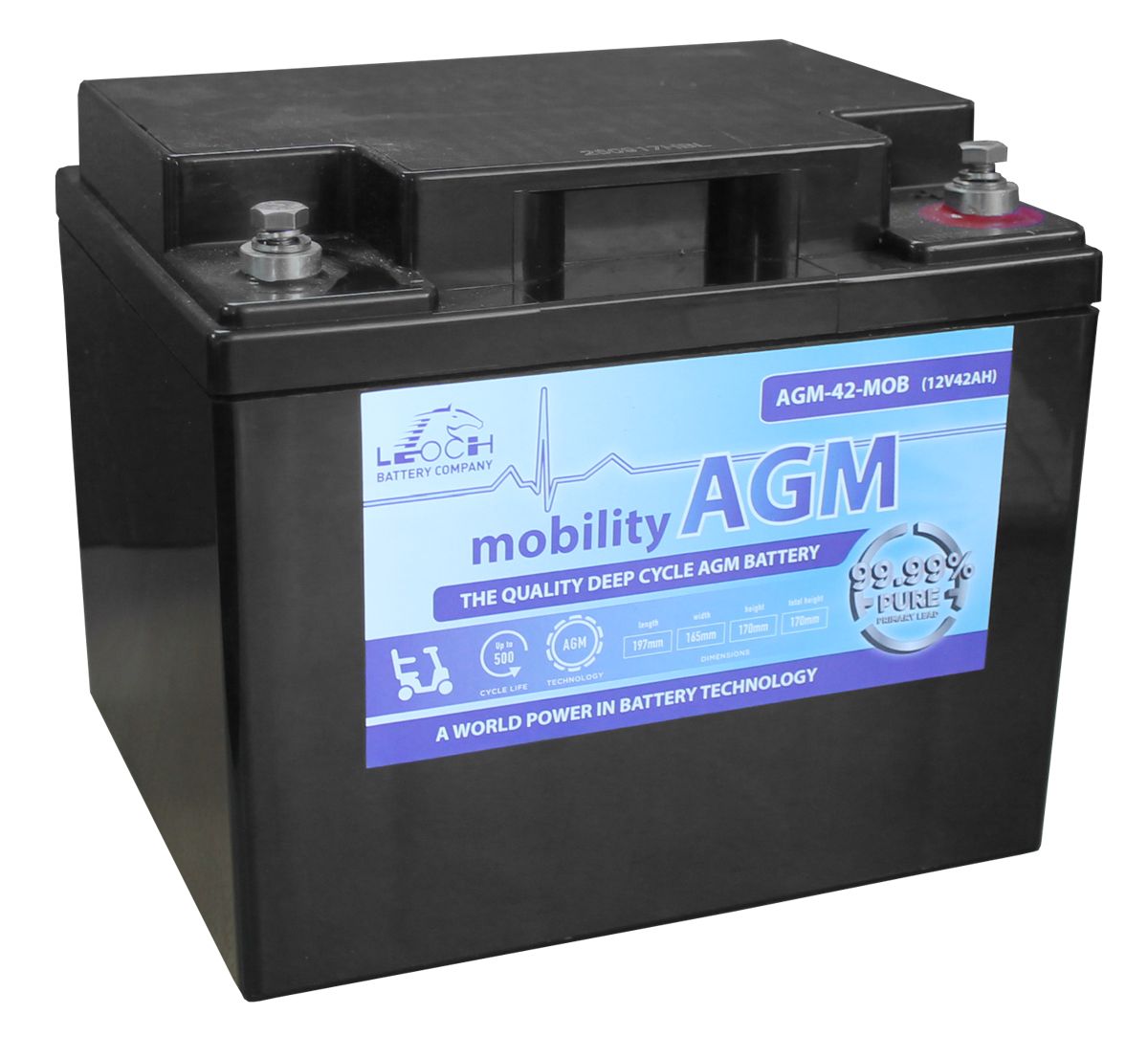 Leoch AGM 42 Mobility Battery 12V 42Ah