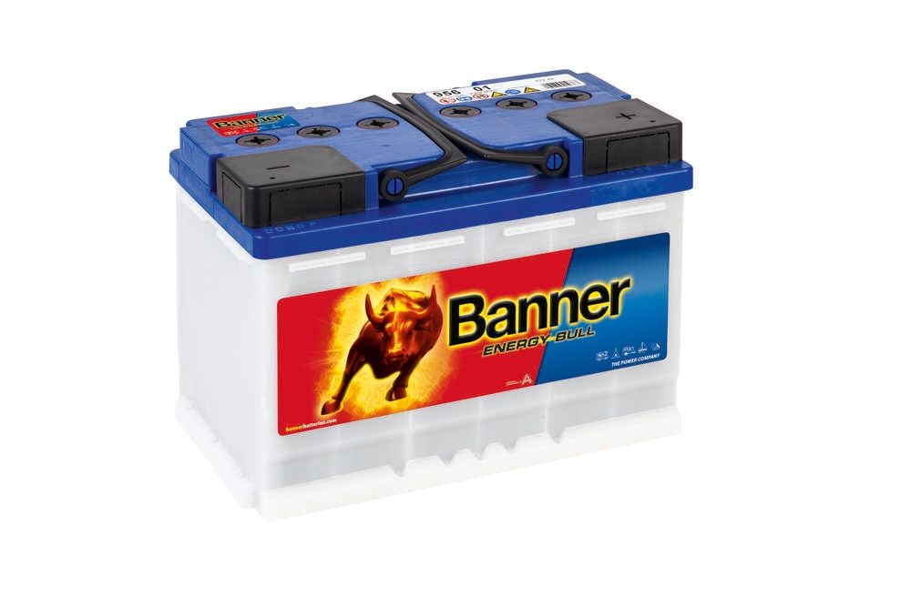 Banner 95601 Leisure Battery