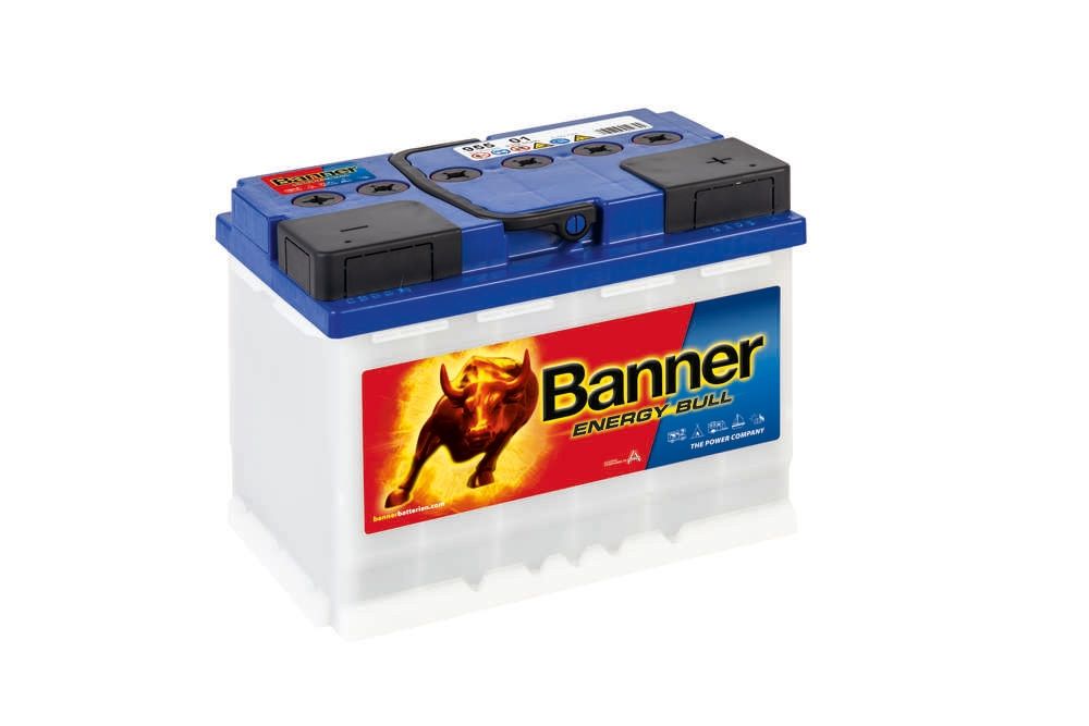 Banner 95501 Leisure Battery