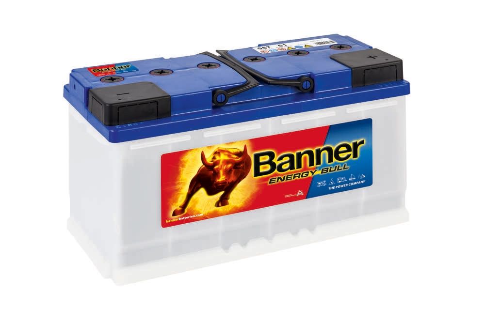 Banner 95751 Leisure Battery