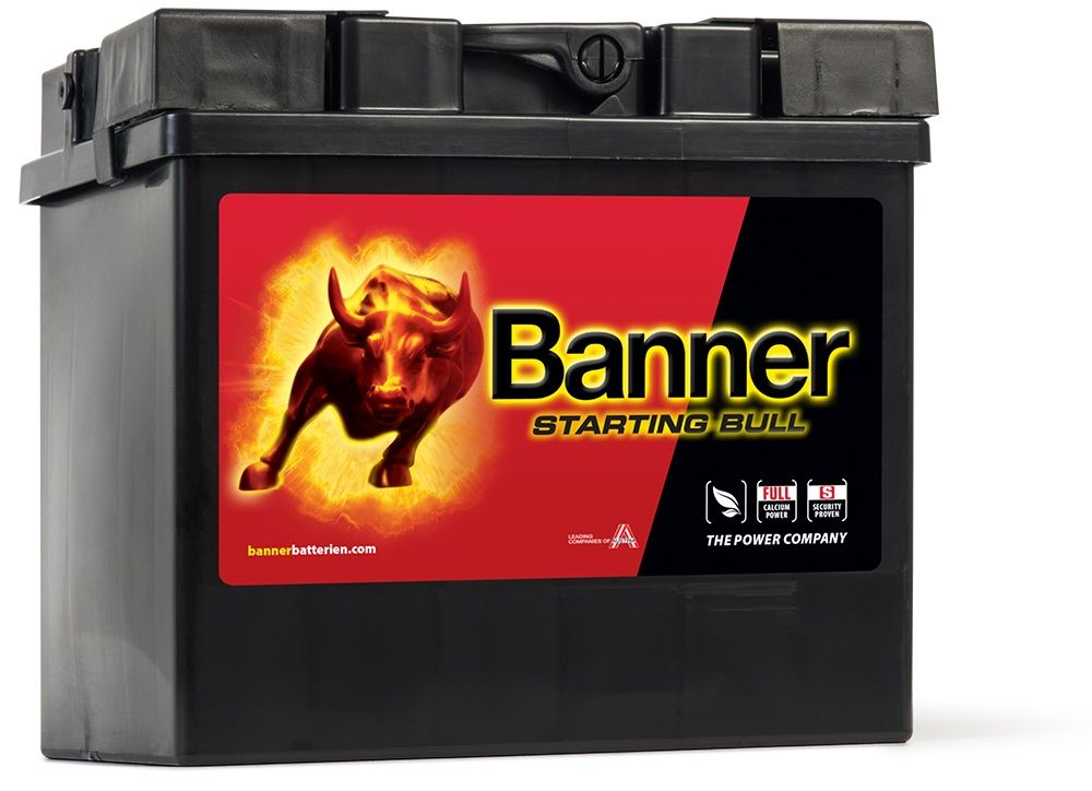 Banner 53030 Car Battery