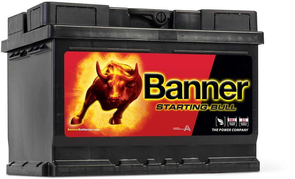 Banner 56219 Car Battery