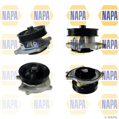 NAPA NWP1636 Water Pump