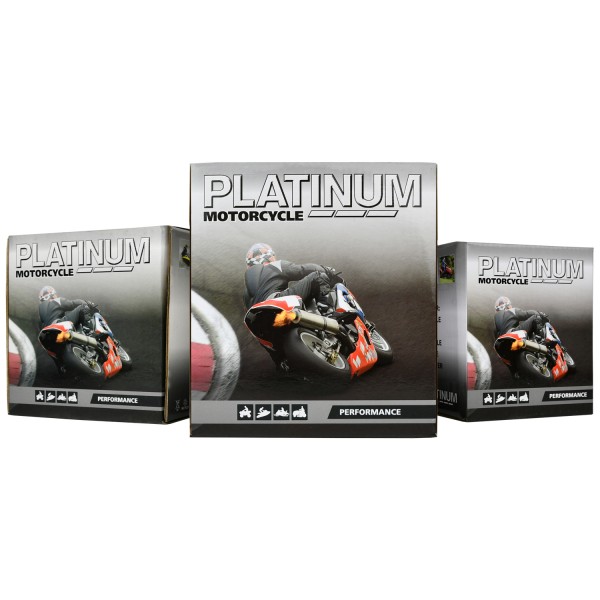 Platinum B38-6A Motorcycle Battery