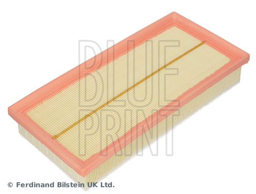 Blue Print ADBP220120