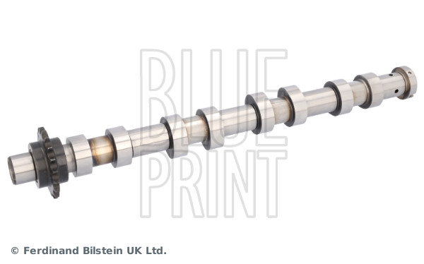 Blue Print ADBP610215