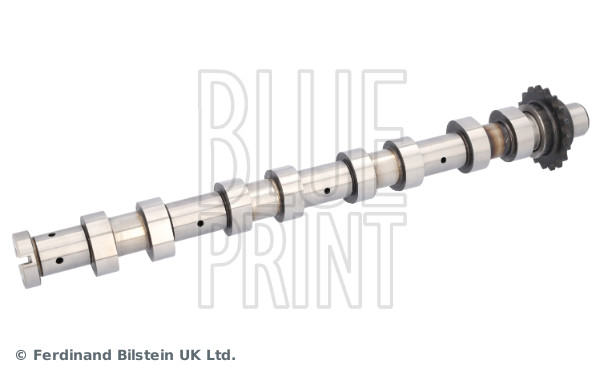 Blue Print ADBP610215