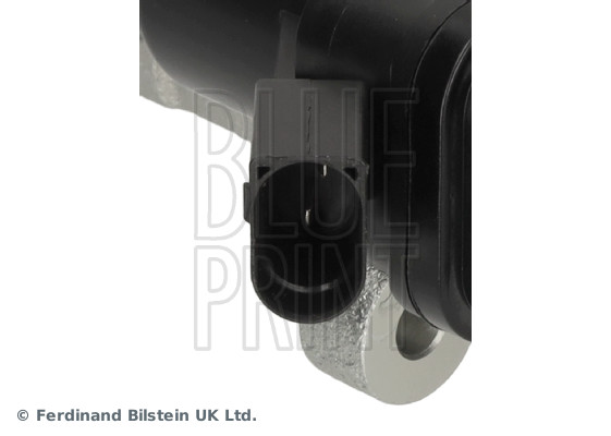 Blue Print ADBP450228