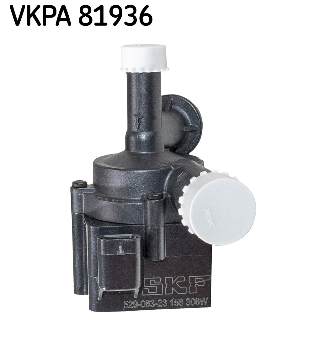 24569311