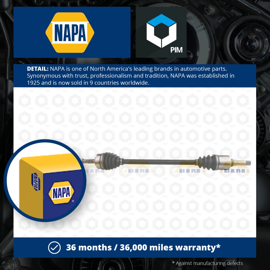 NAPA NDS1099R