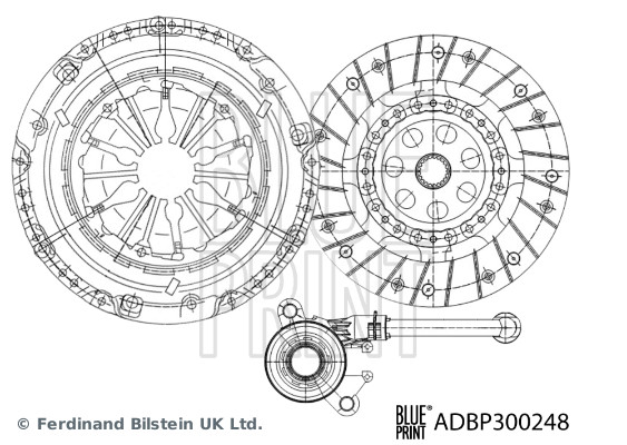 25495091