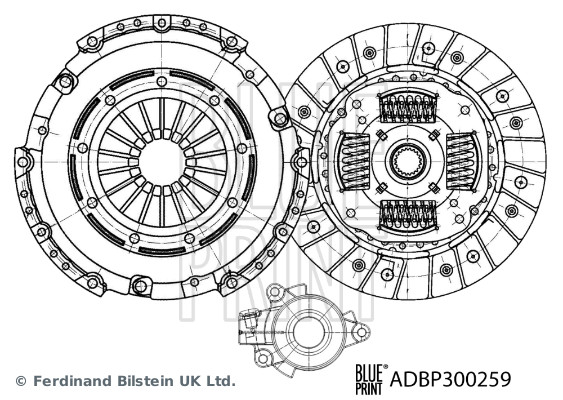 Blue Print ADBP300259