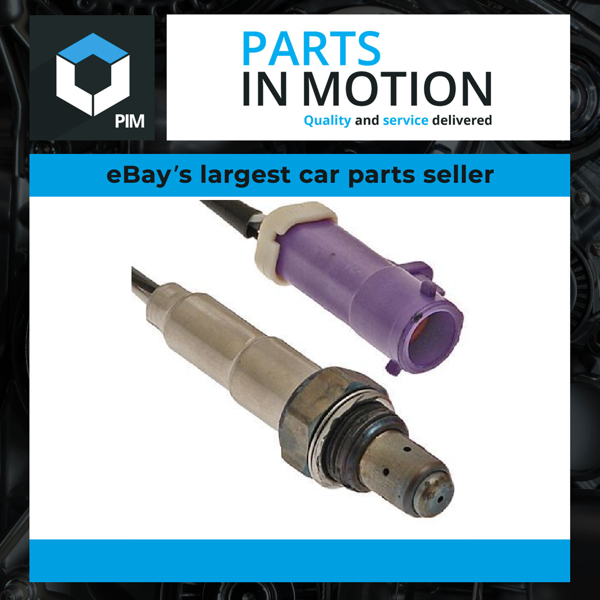 Cambiare Lambda Sensor VE381013 [PM125109]