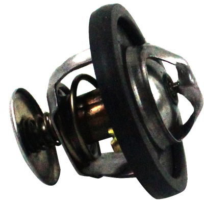 20190061