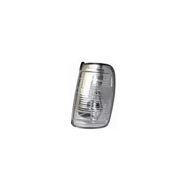 Apec AMB2014 Mirror Indicator