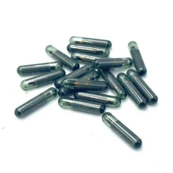Autowave AUTTC039 8E GLASS TRANSPONDER CHIP