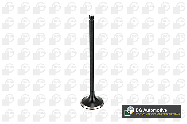 BGA V165411 Exhaust Valve