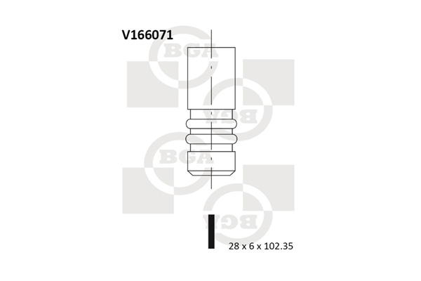 BGA V166071 Exhaust Valve