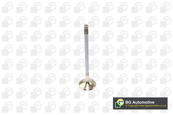 BGA V166211 Exhaust Valve