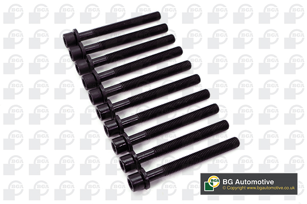 BGA BK6393 Cylinder Head Bolts