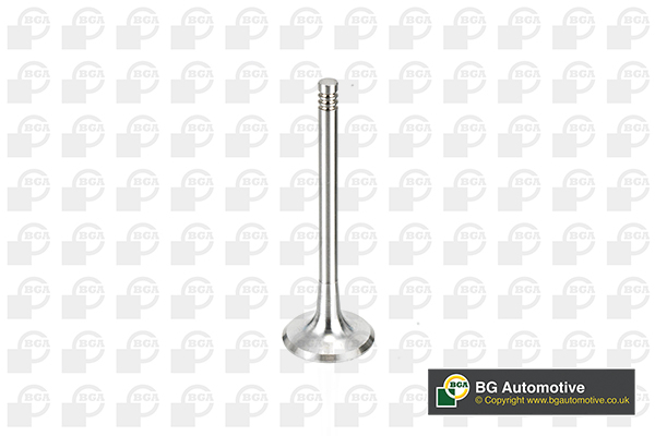 BGA V163720 Inlet Valve