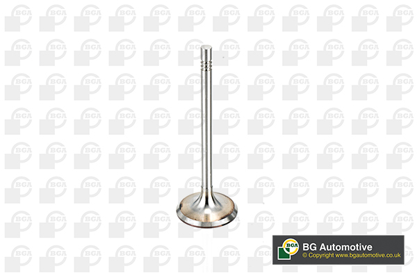 BGA V164520 Inlet Valve
