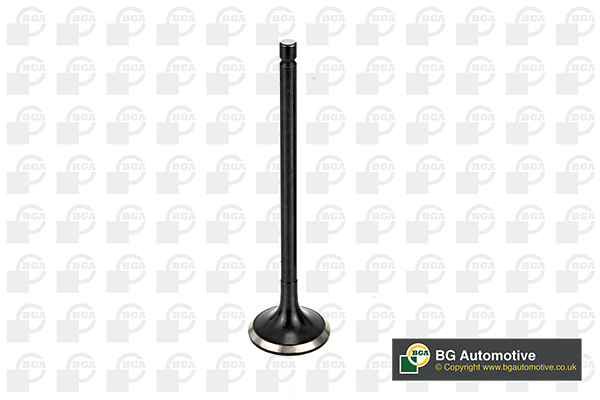 BGA V166041 Exhaust Valve