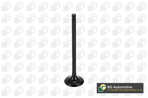 BGA V998746 Exhaust Valve