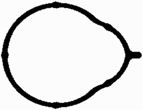 BGA MG2581 Inlet Manifold Gasket