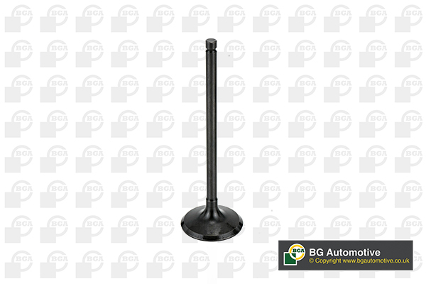 BGA V998745 Inlet Valve