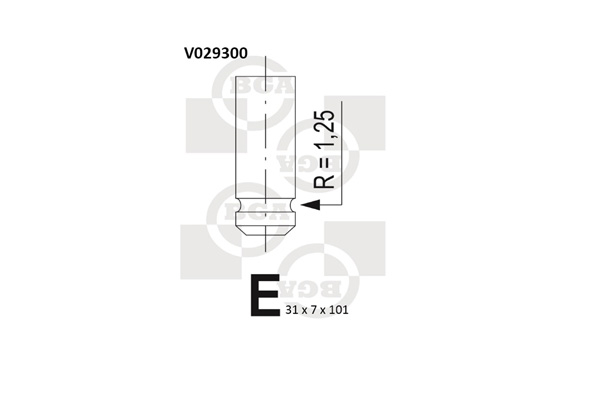 BGA V029300 Exhaust Valve