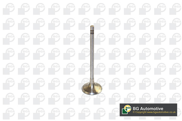 BGA V591701 Inlet Valve