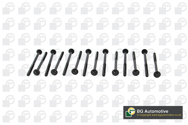 BGA BK2305 Cylinder Head Bolts
