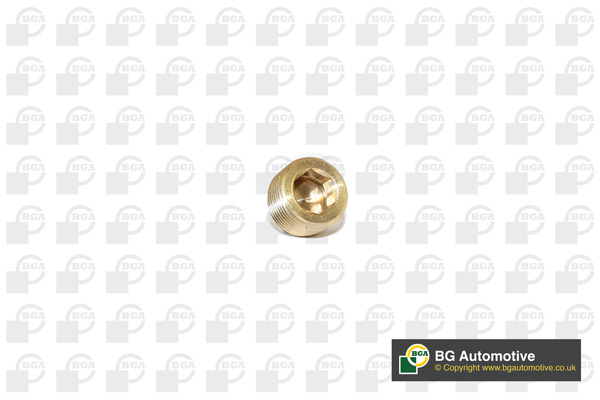 BGA PK2202 Sump Plug