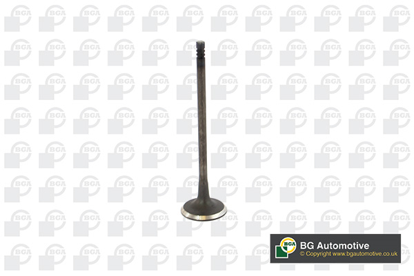 BGA V236819 Inlet Valve
