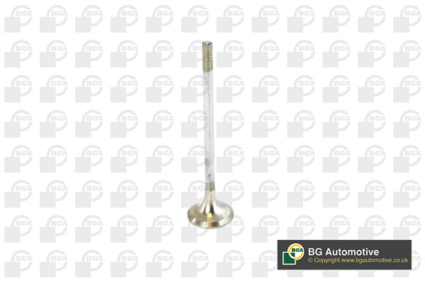 BGA V236820 Exhaust Valve