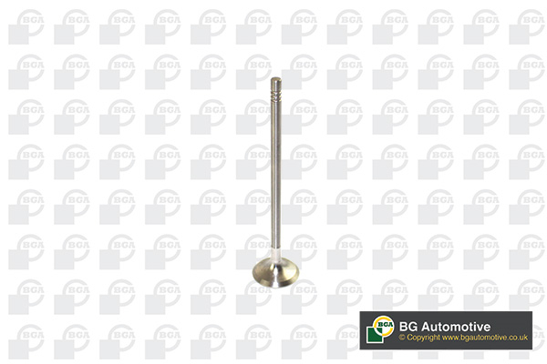 BGA V591702 Exhaust Valve