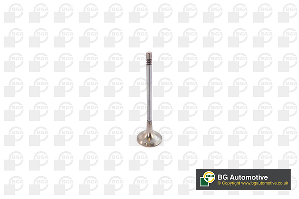 BGA V232016 Exhaust Valve