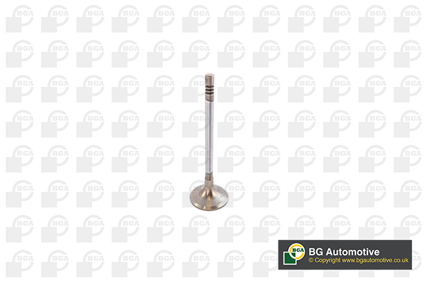 BGA V142049 Inlet Valve
