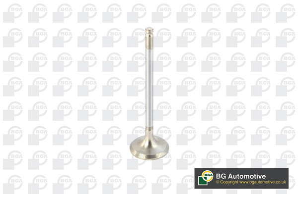 BGA V820011 Exhaust Valve
