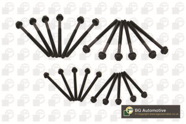 BGA BK2303 Cylinder Head Bolts