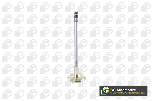 BGA V090101 Exhaust Valve