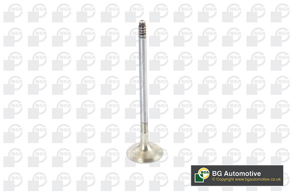 BGA V090106 Exhaust Valve