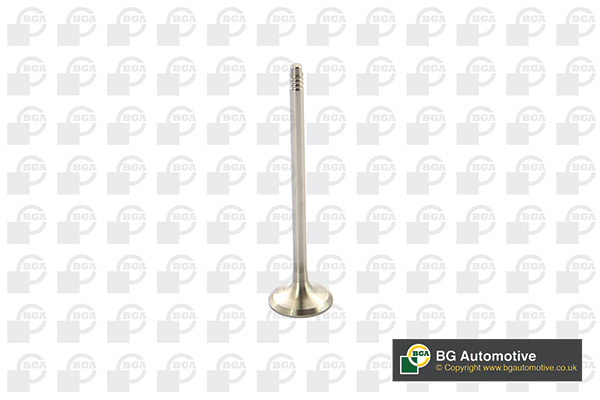 BGA V095110 Exhaust Valve