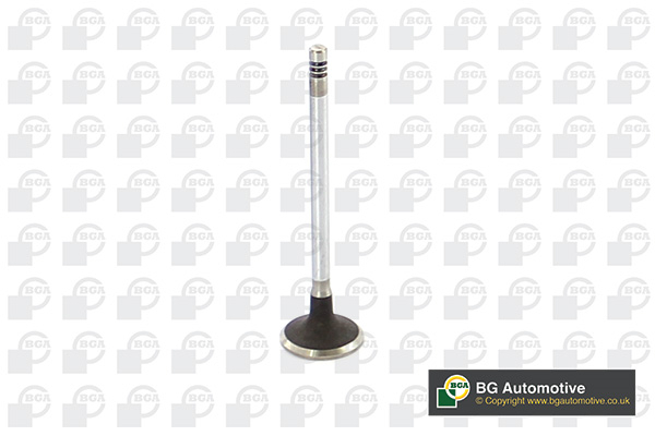 BGA V149486 Inlet Valve
