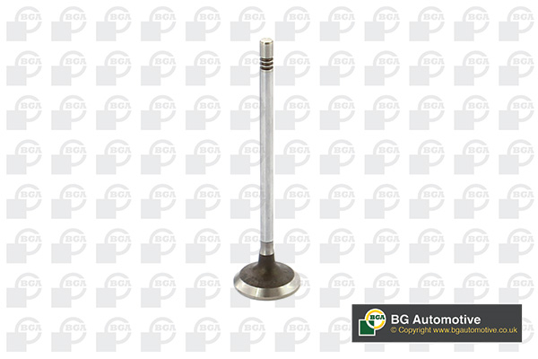 BGA V229199 Inlet Valve