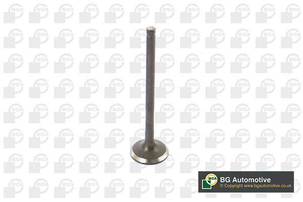 BGA V362215